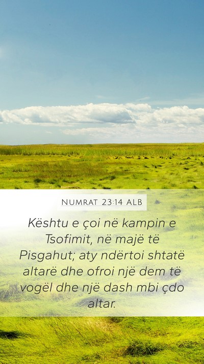 Numrat 23:14 ALB Bible Verse Image