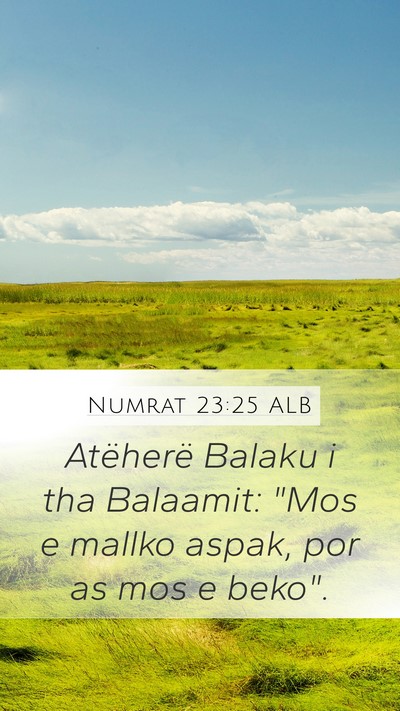 Numrat 23:25 ALB Mobile Phone Wallpaper - Atëherë Balaku i tha Balaamit: 