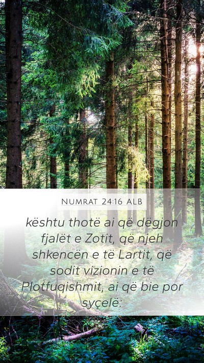 Numrat 24:16 ALB Bible Verse Image