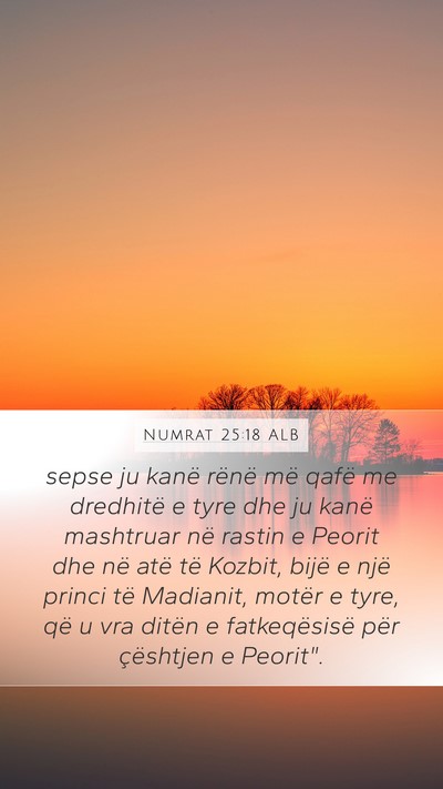 Numrat 25:18 ALB Bible Verse Image