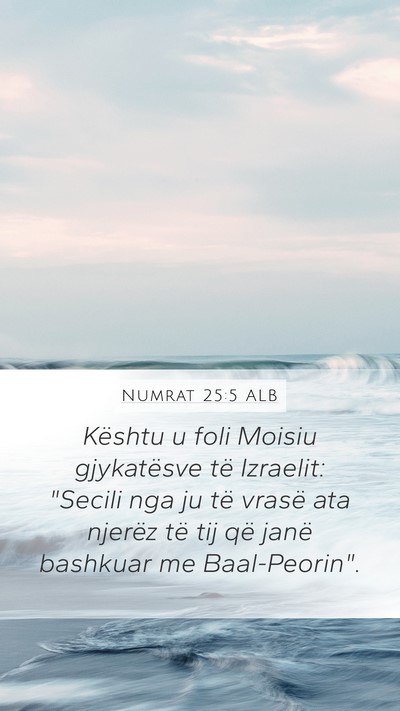 Numrat 25:5 ALB Bible Verse Image