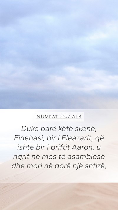 Numrat 25:7 ALB Bible Verse Image