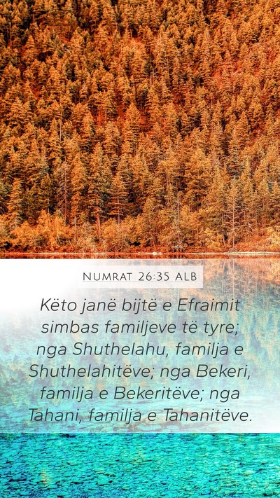 Numrat 26:35 ALB Bible Verse Image
