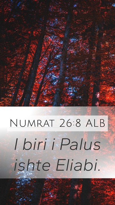 Numrat 26:8 ALB Mobile Phone Wallpaper - I biri i Palus ishte - Mobile Bible Verse Wallpaper
