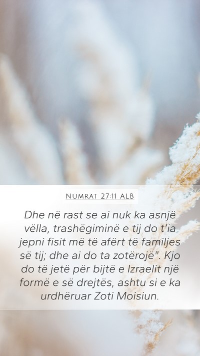 Numrat 27:11 ALB Mobile Phone Wallpaper - Dhe në rast se ai nuk ka asnjë vëlla, - Mobile Bible Verse Wallpaper