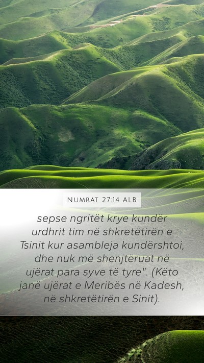 Numrat 27:14 ALB Bible Verse Image