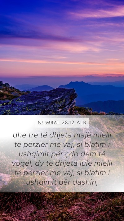 Numrat 28:12 ALB Bible Verse Image