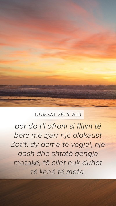 Numrat 28:19 ALB Bible Verse Image