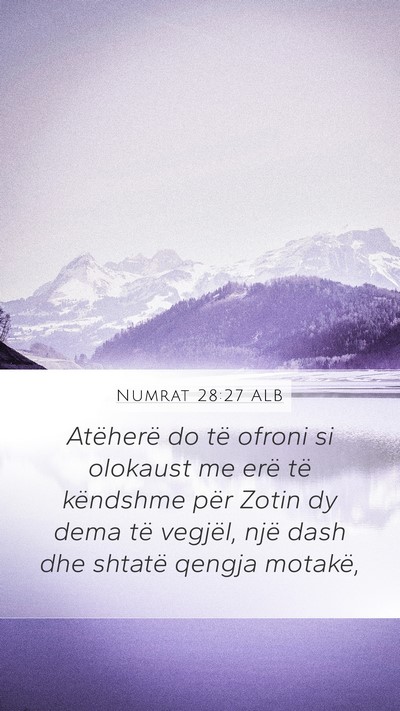 Numrat 28:27 ALB Bible Verse Image