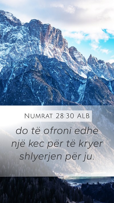 Numrat 28:30 ALB Bible Verse Image
