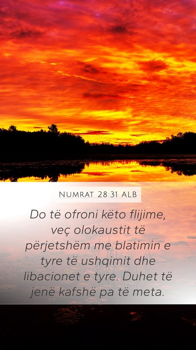 Numrat 28:31 ALB Bible Verse Image