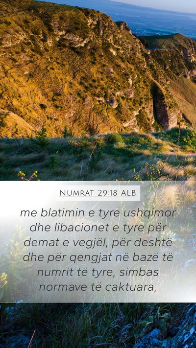 Numrat 29:18 ALB Bible Verse Image