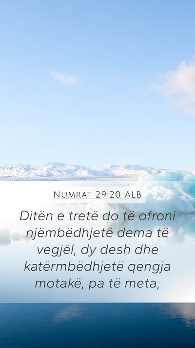 Numrat 29:20 ALB Bible Verse Image
