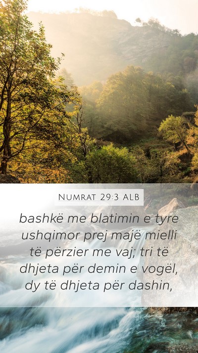 Numrat 29:3 ALB Bible Verse Image