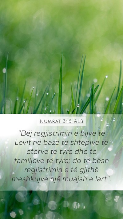 Numrat 3:15 ALB Mobile Phone Wallpaper - 