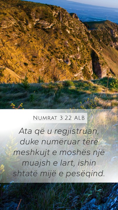 Numrat 3:22 ALB Bible Verse Image