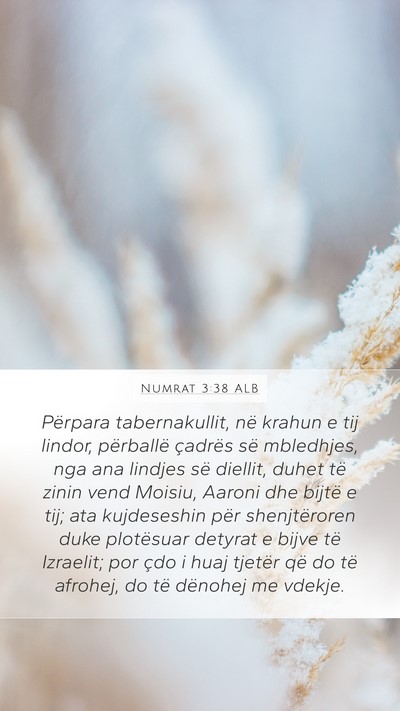 Numrat 3:38 ALB Bible Verse Image