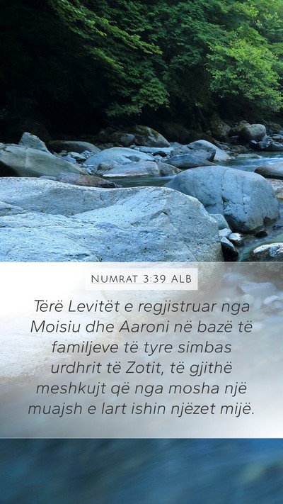 Numrat 3:39 ALB Bible Verse Image