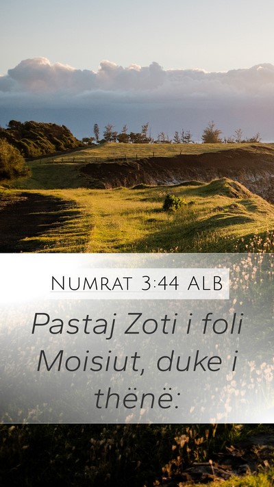 Numrat 3:44 ALB Mobile Phone Wallpaper - Pastaj Zoti i foli Moisiut, duke i - Mobile Bible Verse Wallpaper