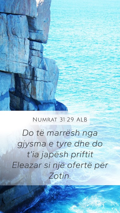 Numrat 31:29 ALB Bible Verse Image