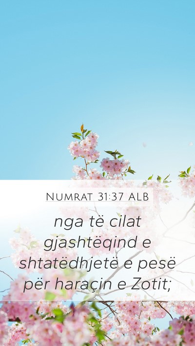 Numrat 31:37 ALB Mobile Phone Wallpaper - nga të cilat gjashtëqind e shtatëdhjetë e - Mobile Bible Verse Wallpaper