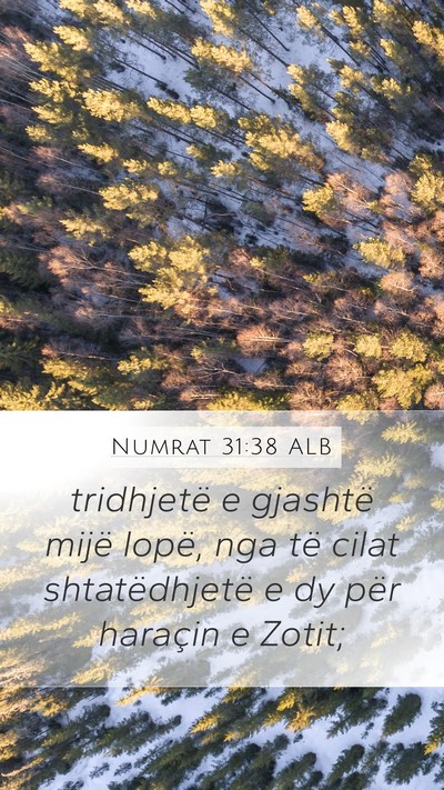 Numrat 31:38 ALB Mobile Phone Wallpaper - tridhjetë e gjashtë mijë lopë, nga të cilat - Mobile Bible Verse Wallpaper