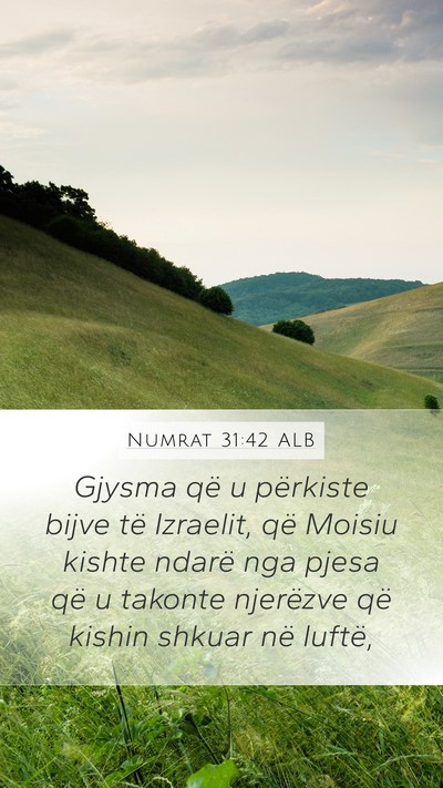 Numrat 31:42 ALB Mobile Phone Wallpaper - Gjysma që u përkiste bijve të Izraelit, që - Mobile Bible Verse Wallpaper