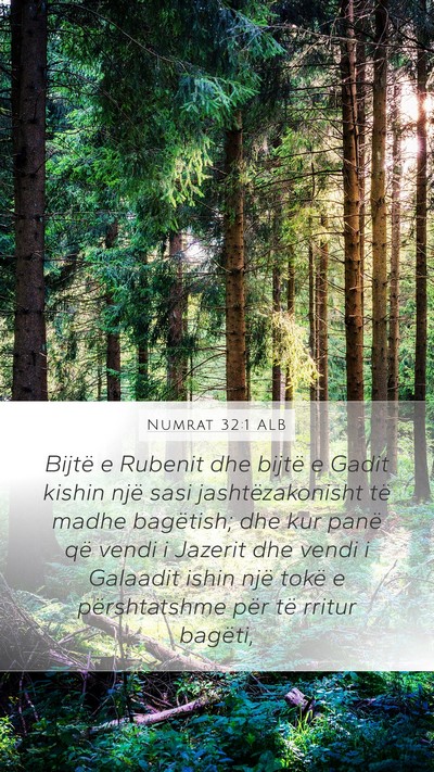 Numrat 32:1 ALB Bible Verse Image