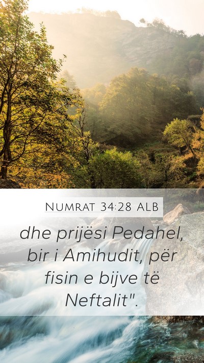 Numrat 34:28 ALB Mobile Phone Wallpaper - dhe prijësi Pedahel, bir i Amihudit, për fisin - Mobile Bible Verse Wallpaper