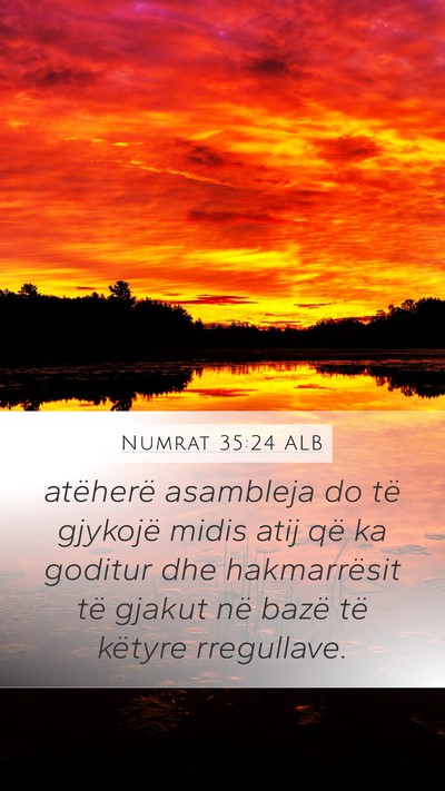 Numrat 35:24 ALB Bible Verse Image