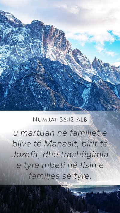 Numrat 36:12 ALB Bible Verse Image