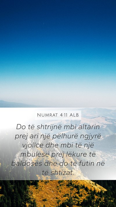 Numrat 4:11 ALB Bible Verse Image