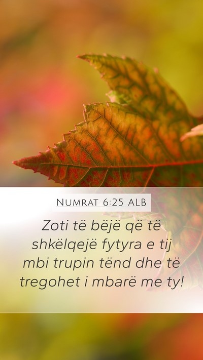 Numrat 6:25 ALB Bible Verse Image