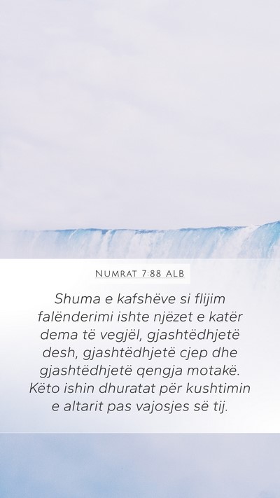 Numrat 7:88 ALB Bible Verse Image