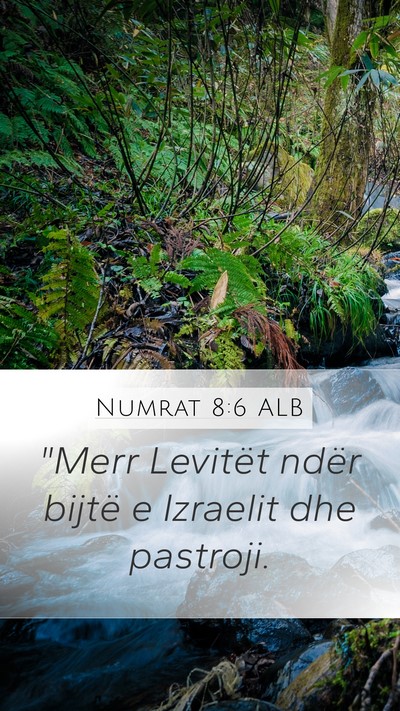 Numrat 8:6 ALB Bible Verse Image