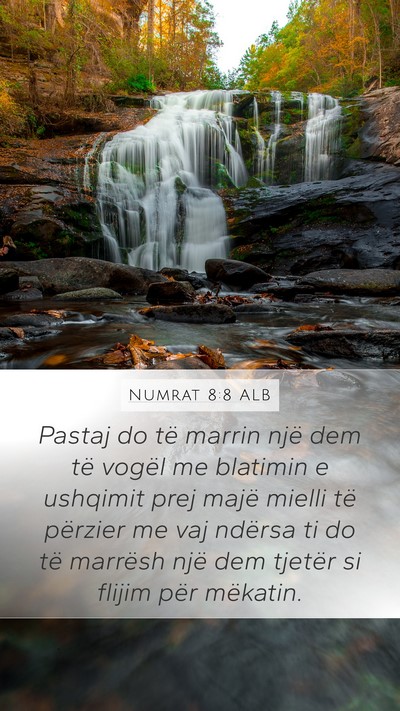 Numrat 8:8 ALB Bible Verse Image