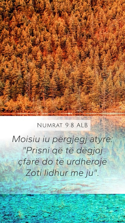 Numrat 9:8 ALB Mobile Phone Wallpaper - Moisiu iu përgjegj atyre: 