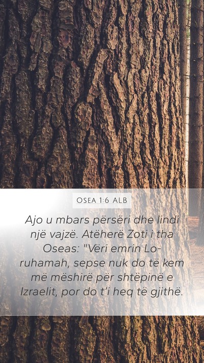 Osea 1:6 ALB Bible Verse Image