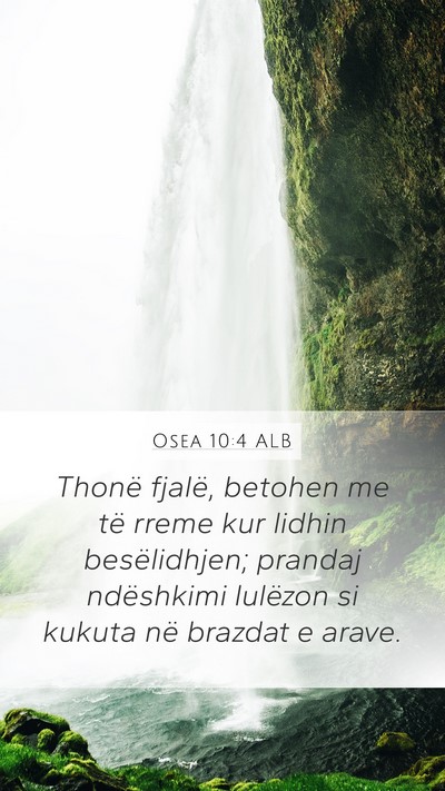 Osea 10:4 ALB Bible Verse Image