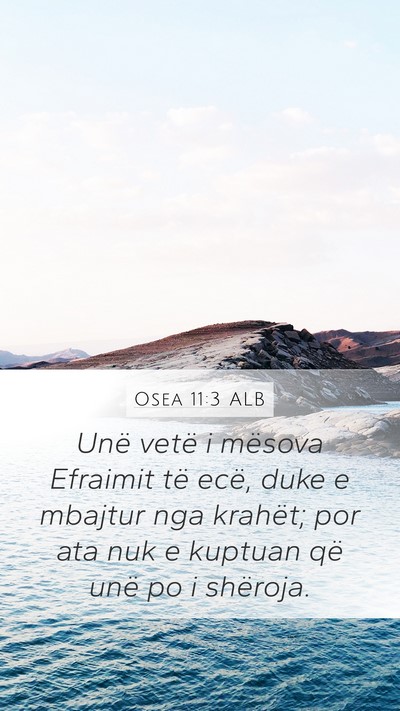 Osea 11:3 ALB Bible Verse Image