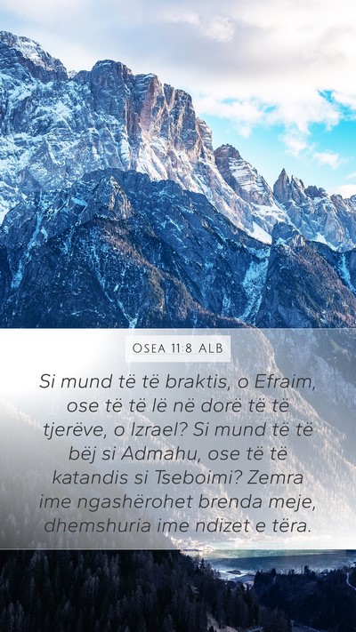 Osea 11:8 ALB Bible Verse Image