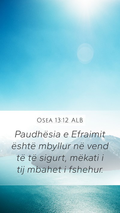 Osea 13:12 ALB Bible Verse Image