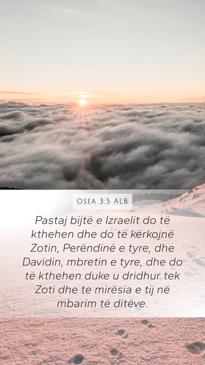 Osea 3:5 ALB Bible Verse Image