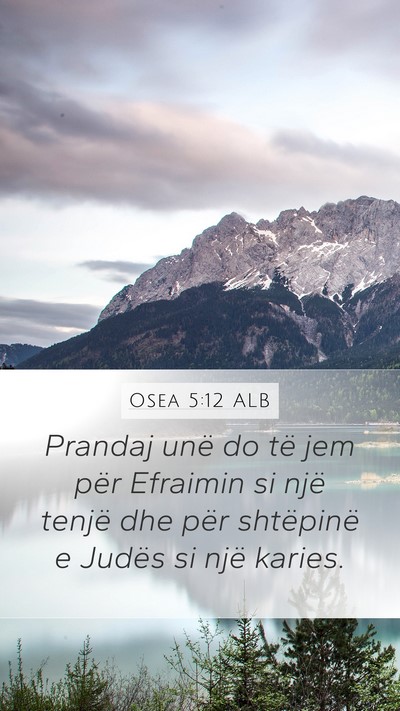 Osea 5:12 ALB Bible Verse Image