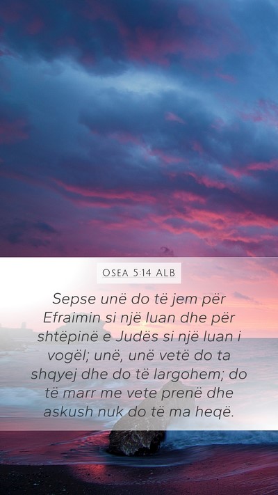 Osea 5:14 ALB Bible Verse Image
