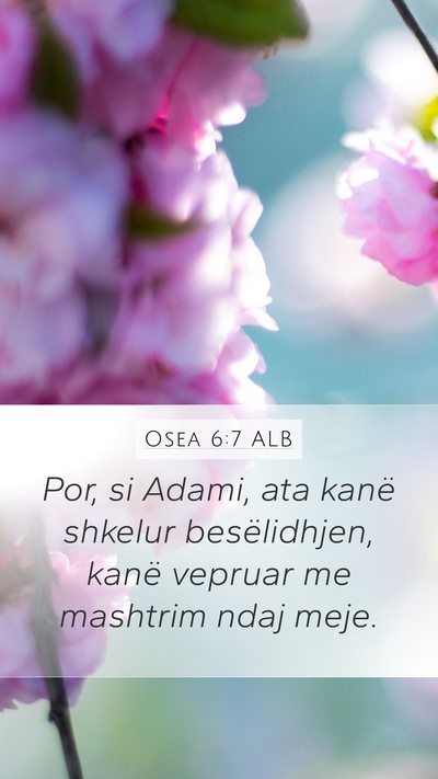 Osea 6:7 ALB Bible Verse Image