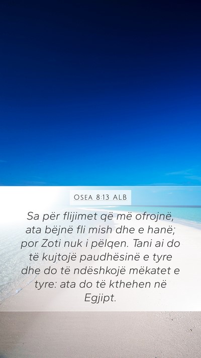 Osea 8:13 ALB Bible Verse Image