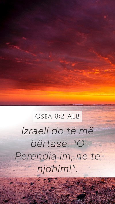 Osea 8:2 ALB Bible Verse Image