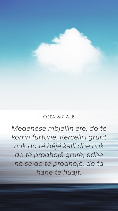 Osea 8:7 ALB Bible Verse Image