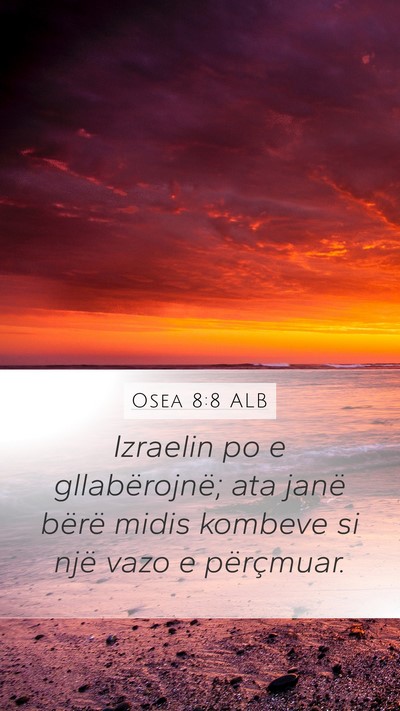 Osea 8:8 ALB Bible Verse Image